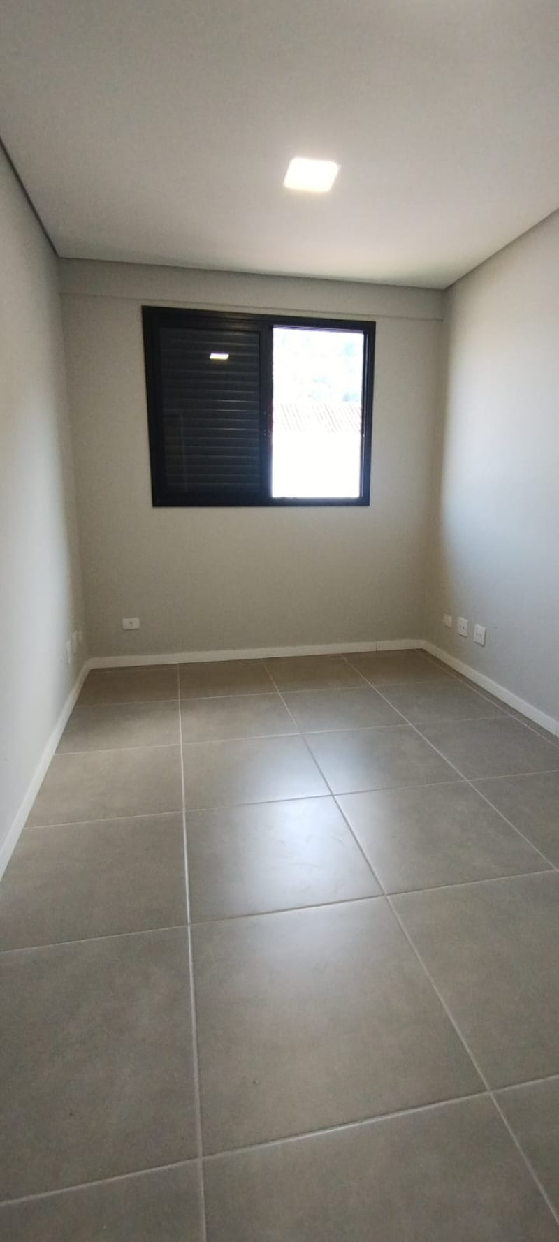 delfino stocker de lima