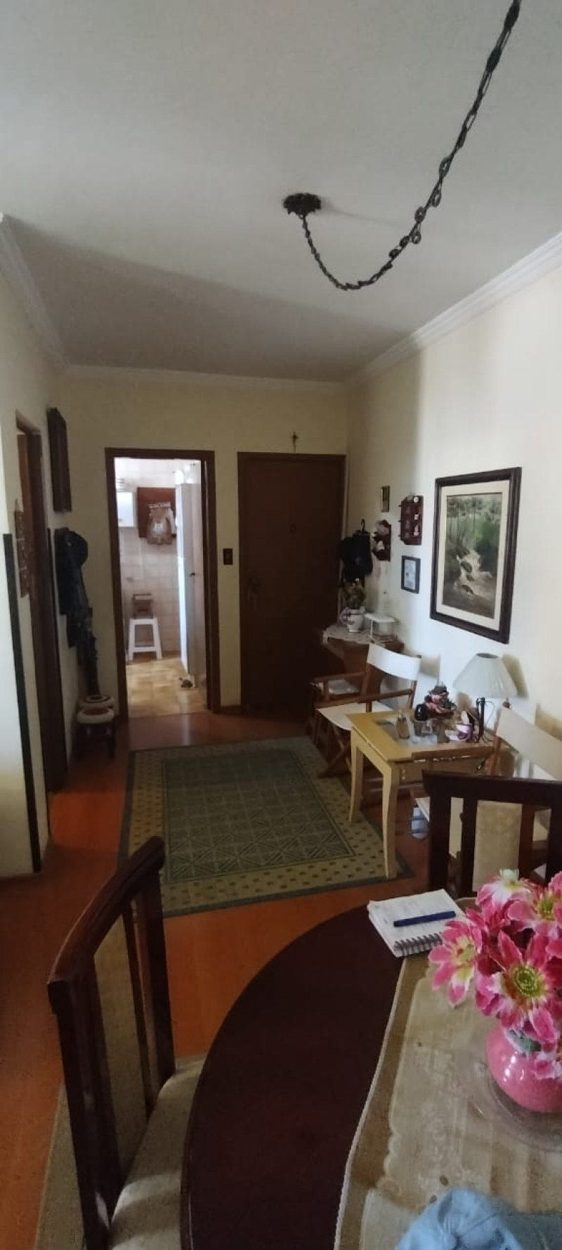 Rua Alfredo Albertini - Santos/SP