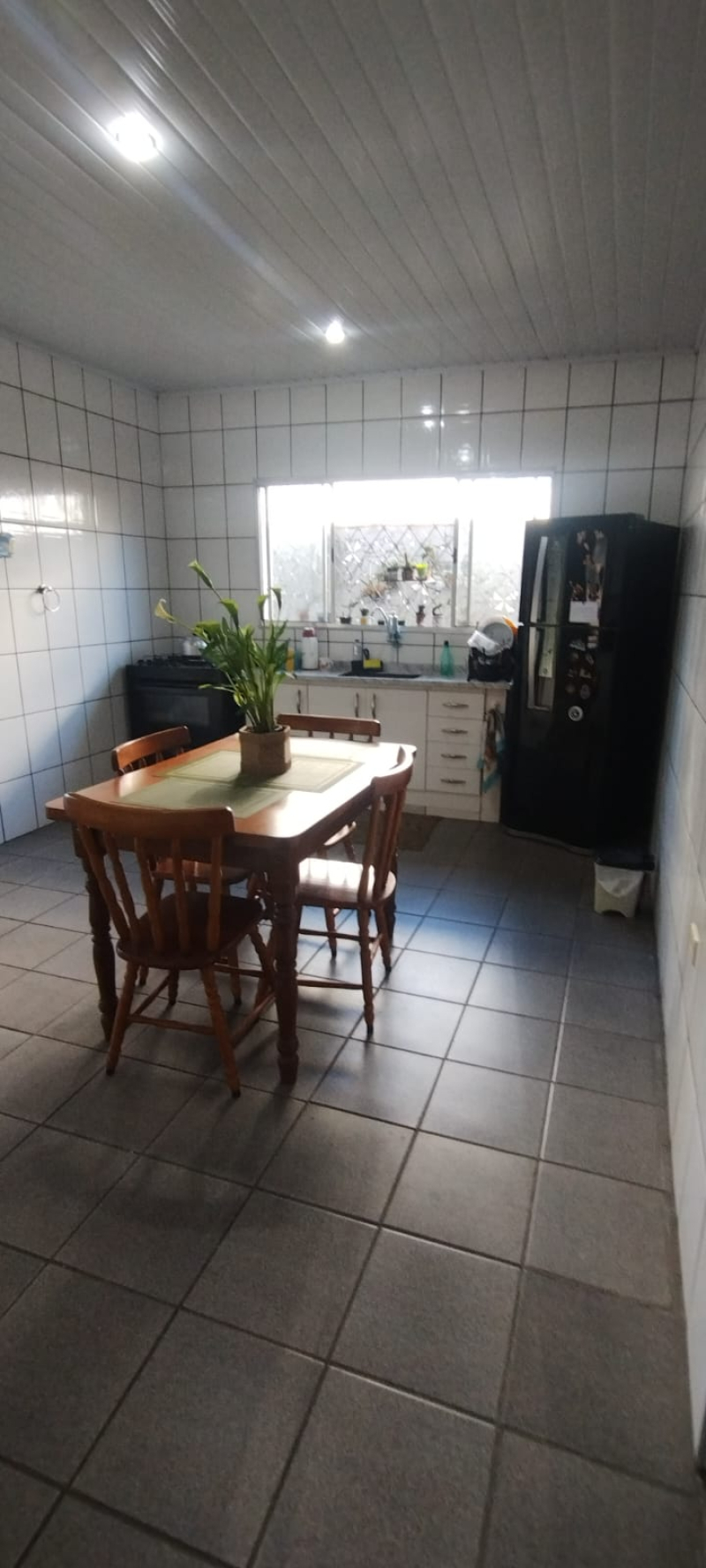 Bernardo Browne  - Santos/SP