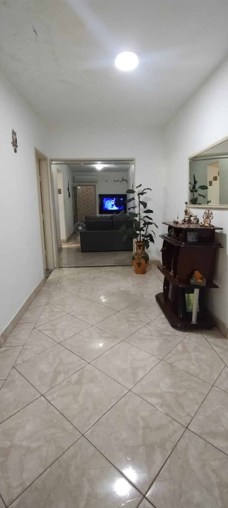 Bernardo Browne  - Santos/SP