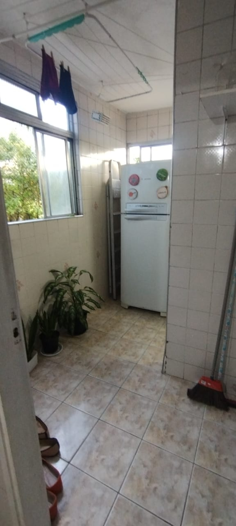  Alexandre Fleming  - Santos/SP