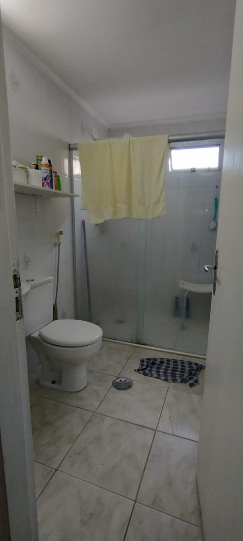  Alexandre Fleming  - Santos/SP