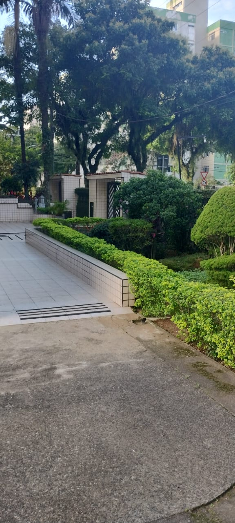  Alexandre Fleming  - Santos/SP