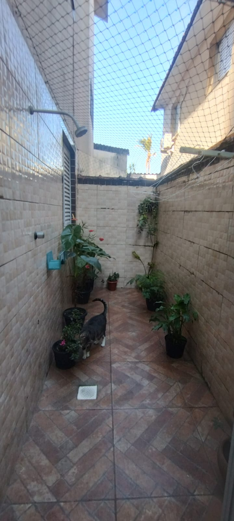  Rua: Dr. Bezerra de menezes - Santos/SP