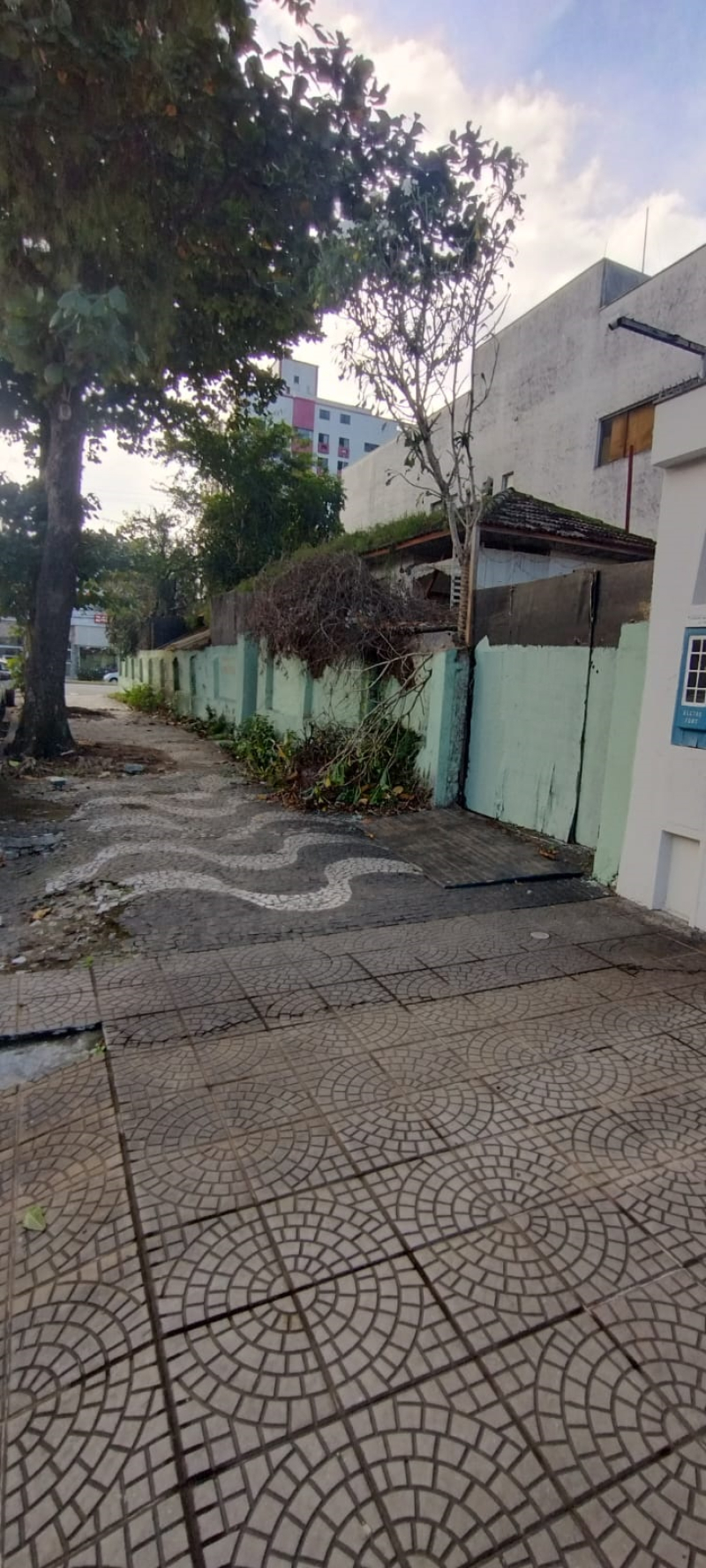 AV. DR PEDRO LESSA  - Santos/SP