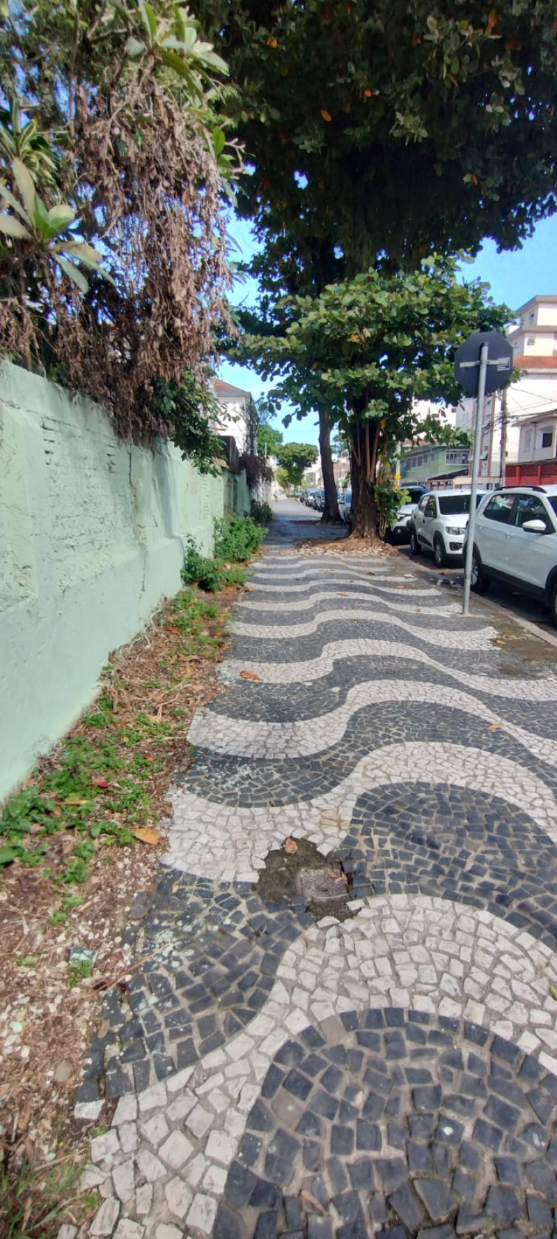 AV. DR PEDRO LESSA  - Santos/SP